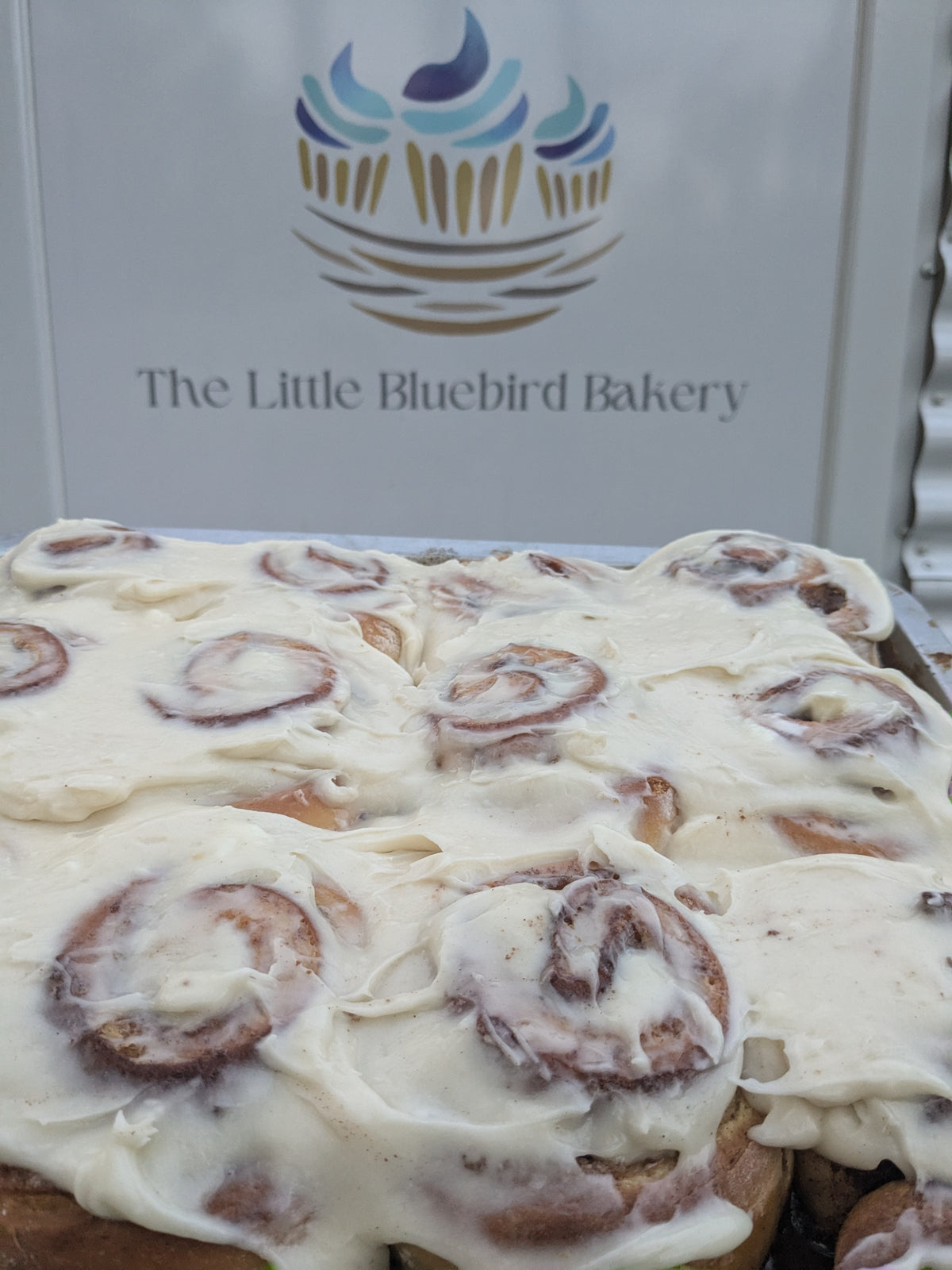 Thanksgiving Regular Cinnamon rolls. 6 count